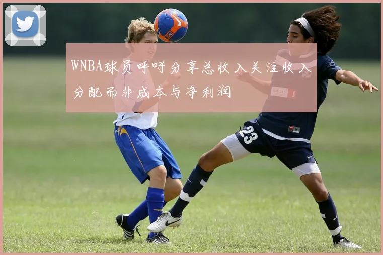 WNBA球员呼吁分享总收入关注收入分配而非成本与净利润