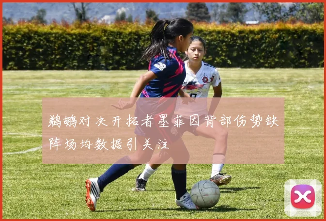 鹈鹕对决开拓者墨菲因背部伤势缺阵场均数据引关注