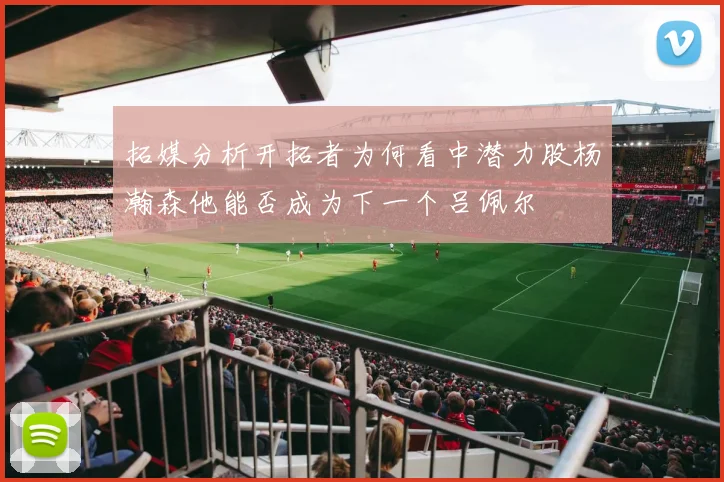 拓媒分析开拓者为何看中潜力股杨瀚森他能否成为下一个吕佩尔